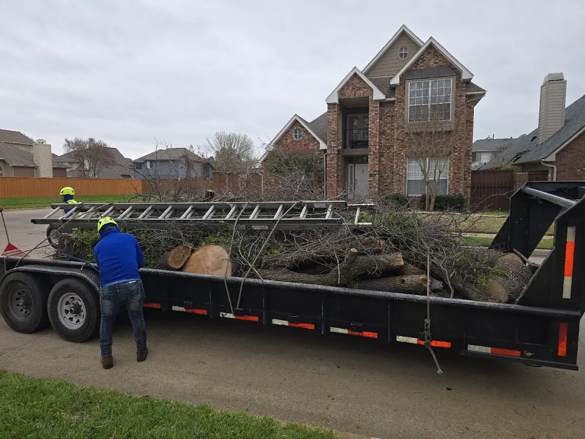 Expert Lot Clearing with proper safety equipment in Gore